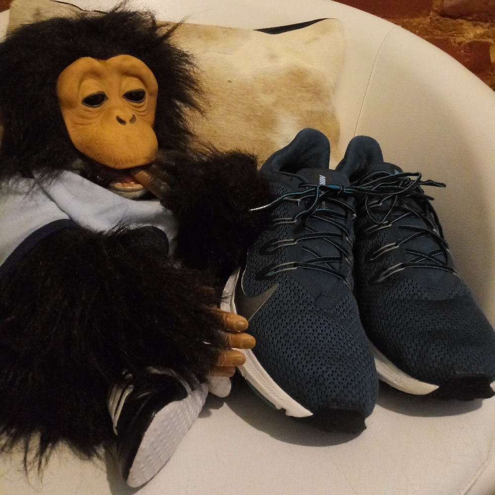 Nike Quest - image 1